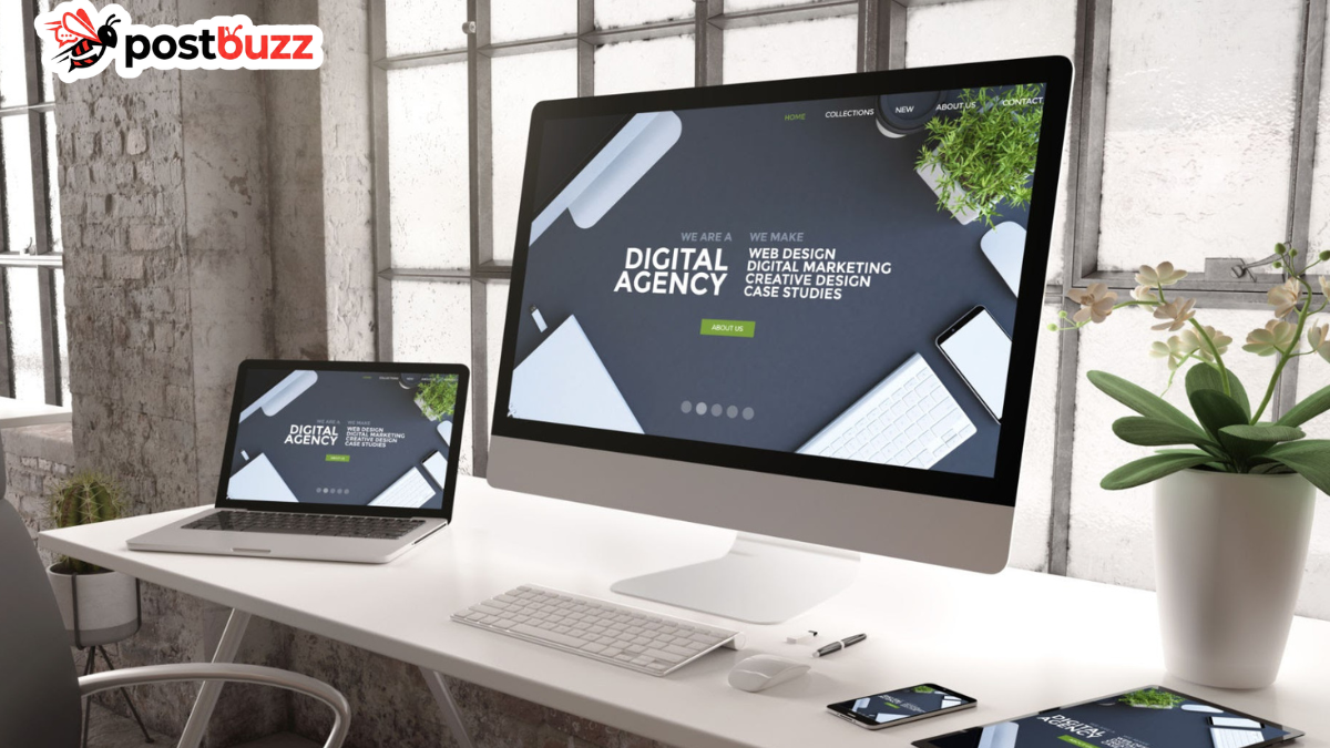 Premium custom web development setup representing Agence Web Paris DualMedia engineering