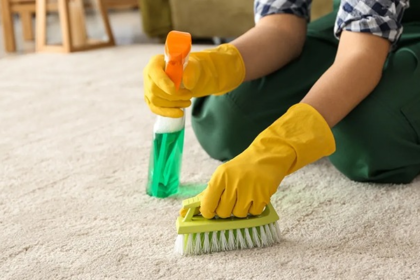 Seasonal Carpet Care