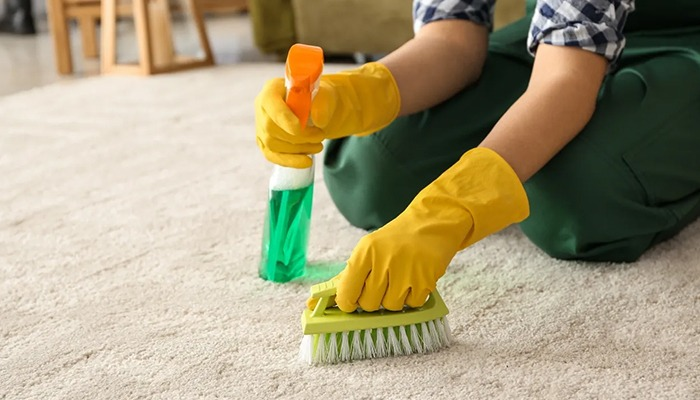 Seasonal Carpet Care
