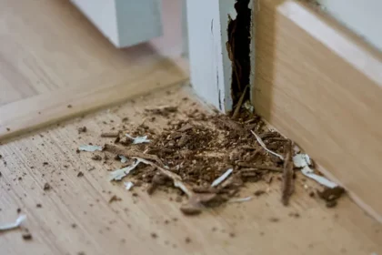 Home Improvement